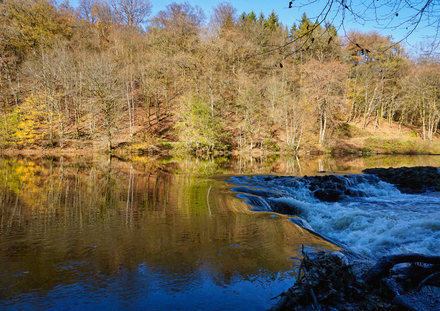 Etang des Epioux