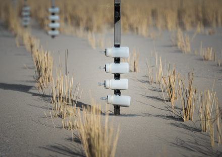 Duinvorming Oosteroever