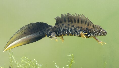 L'impact de la guerre sur notre nature