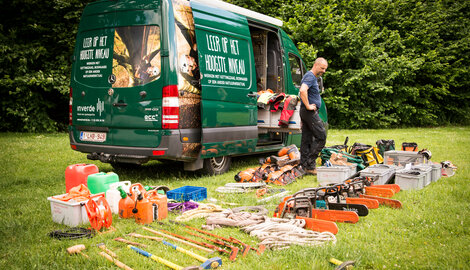 Les formations d'arboristes ont le vent en poupe