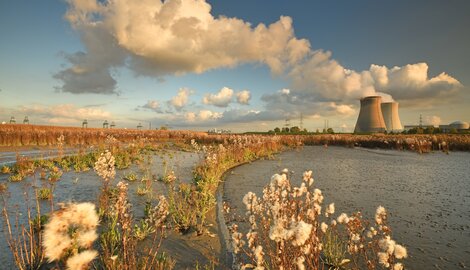 Quelle est la différence entre nature, environnement et climat ?