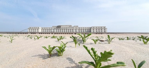 annick-aerts-thermae-palace-hotel.jpeg