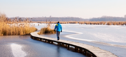 promeneur.jpg