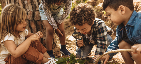 Kinderen onderzoeken bodemleven
