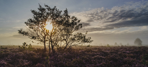 onze-natuur-de-film-banner.png