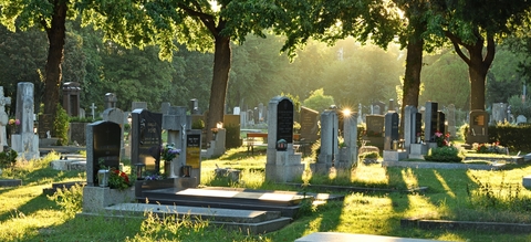 vilda-152385-groene-begraafplaats-yves-adams-1900-px-62908.jpg