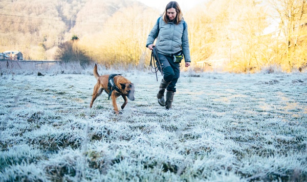 Un chien sur les traces des loutres