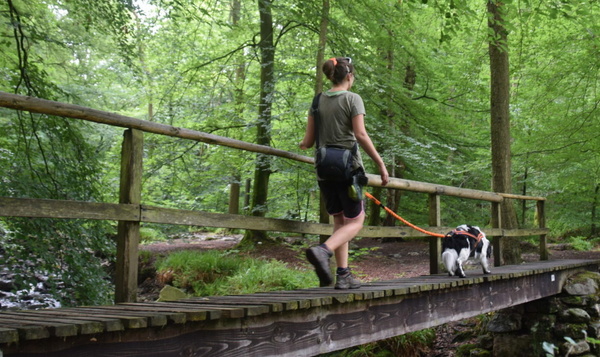 Promenade GPS avec torrents