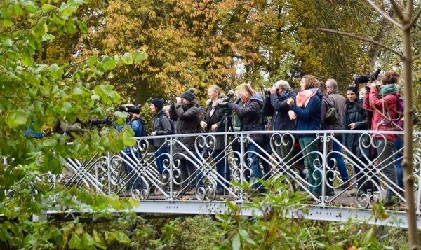 Les femmes et l’ornithologie : comment je suis devenue une vraie « Tourterelle »
