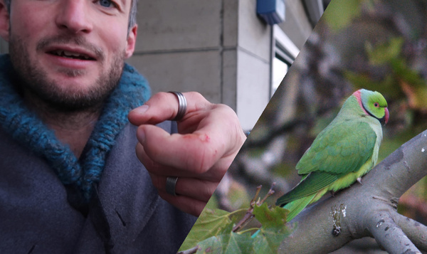 Une touche d’exotisme à Bruxelles