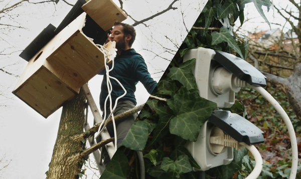 Une prise dans l’arbre