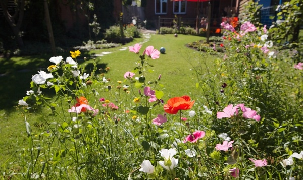 5 astuces printanières pour un jardin sain