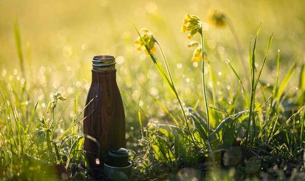 Cinq conseils pour une nature sans plastique
