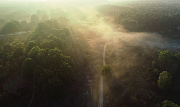 Un lever de soleil magique dans le parc national de la Haute Campine