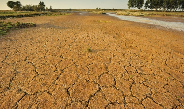 Toujours plus sec : la Belgique se transforme-t-elle progressivement en désert ?