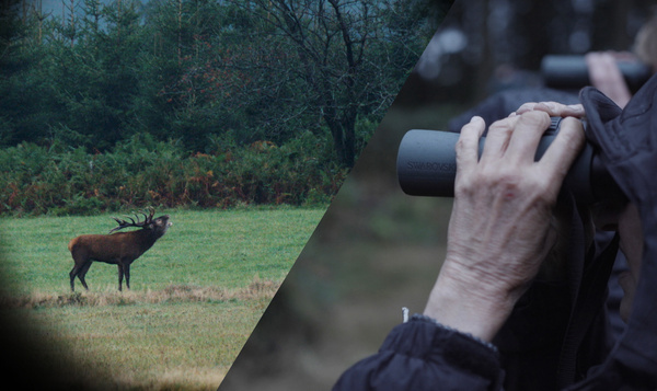 A la recherche du cerf élaphe avec Swarovski Optik