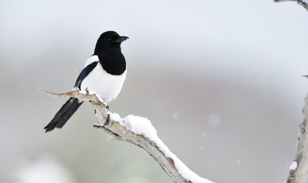 La nature : un vrai cliché !