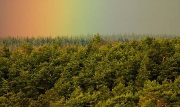 Nos 8 bonnes résolutions «vertes» pour 2021