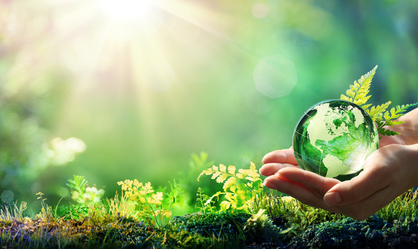 Be WaPP et Notre Nature, ensemble contre les déchets dans la nature