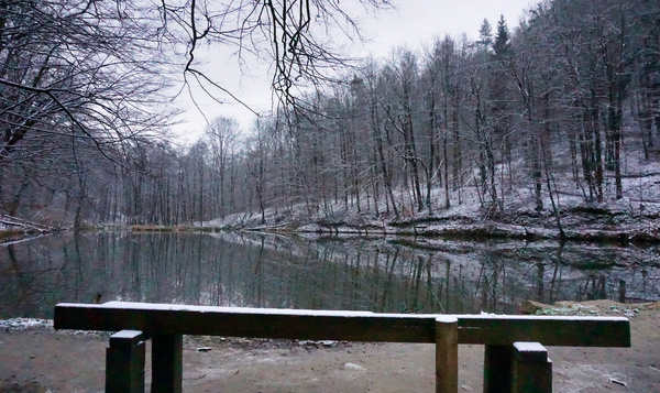 Un samedi matin à la recherche de la neige