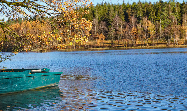 Une journée ensoleillée en amoureux