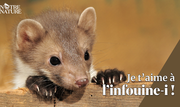 Avec les compliments de notre nature