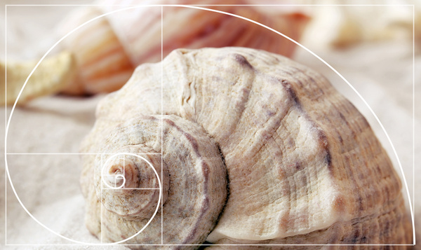 D’où viennent les motifs de la nature ?
