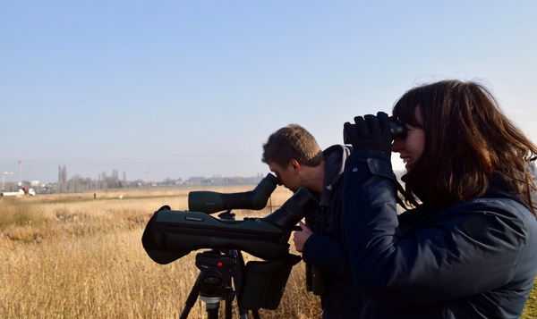 Reconnaître les chants d'oiseaux : spécial débutants