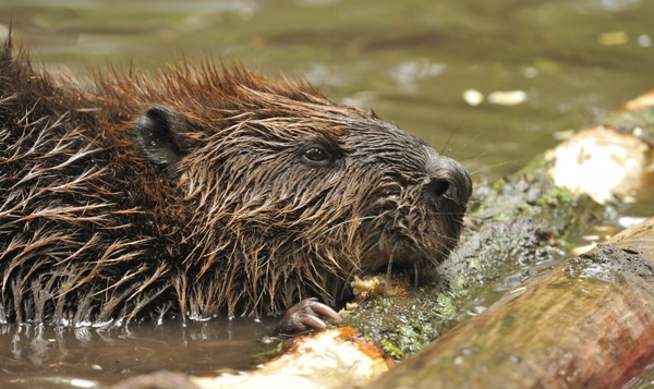 Au détour de la rivière