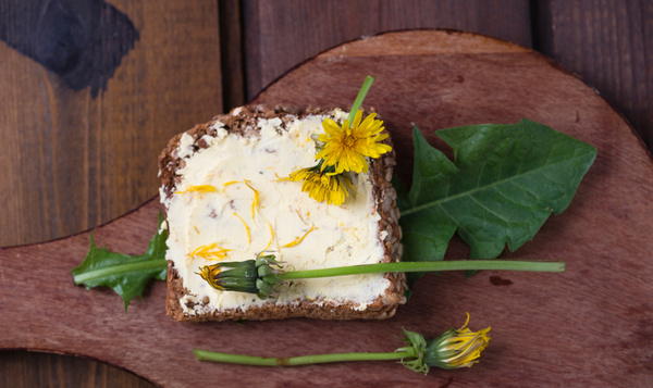 Défi flore n°1 : Cueillez des « mauvaises herbes »  pour les transformer en plats délicieux