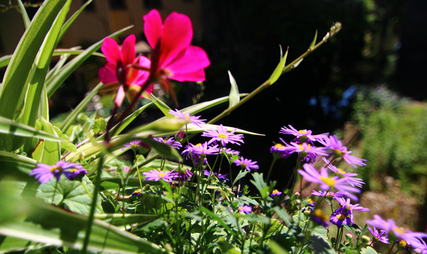 Toutes les couleurs de l'arc-en-ciel