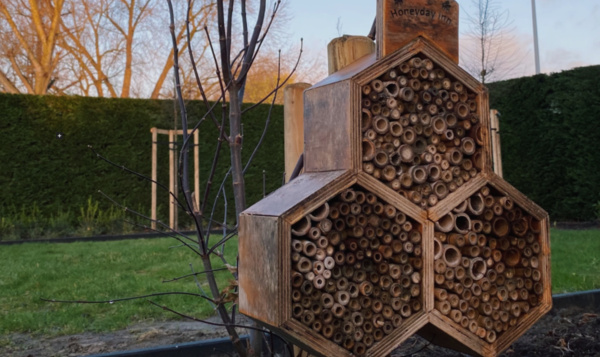 A la rescousse n°4 : Créez un refuge pour les insectes