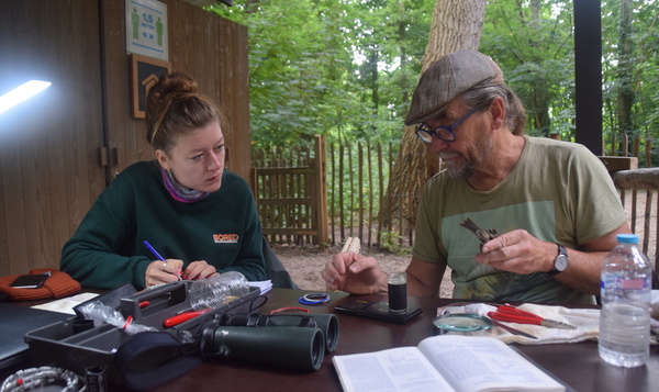 Sur les traces des bagueurs du Zwin