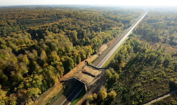 Les infrastructures routières pour animaux