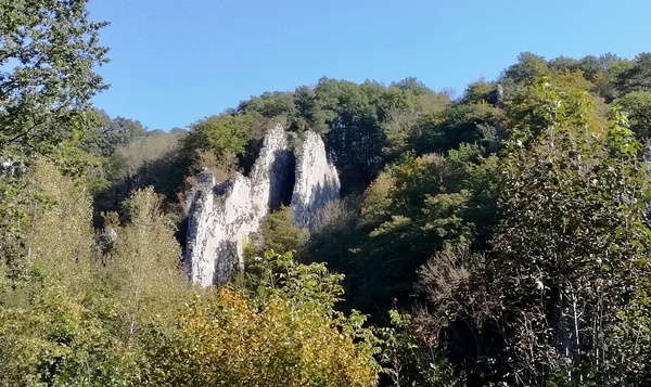 Test : promenade aventureuse aux Tartines