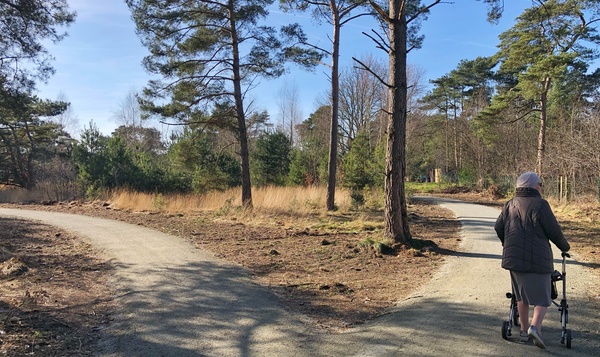 Test : promenade adaptée aux PMR au domaine de Keiheuvel