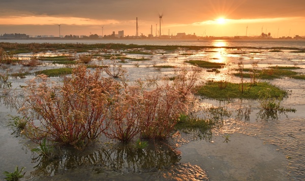 Réserve naturelle de Ketenisschor