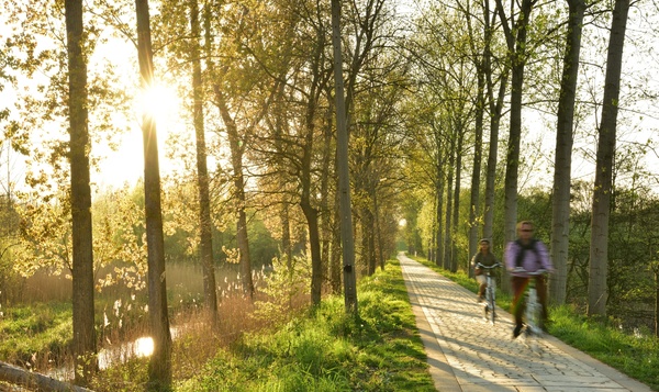 Polders van Kruibeke