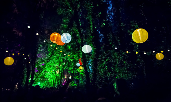 Des festivals pour les amoureux de la nature