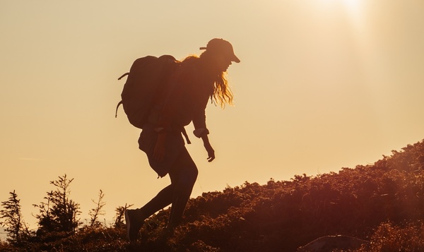 Promenades par temps chaud : do's et don'ts