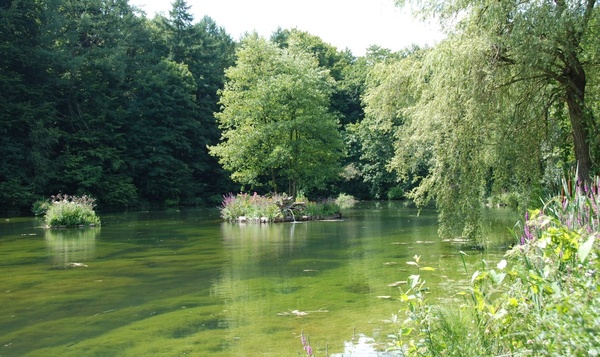 Bois de Lauzelle