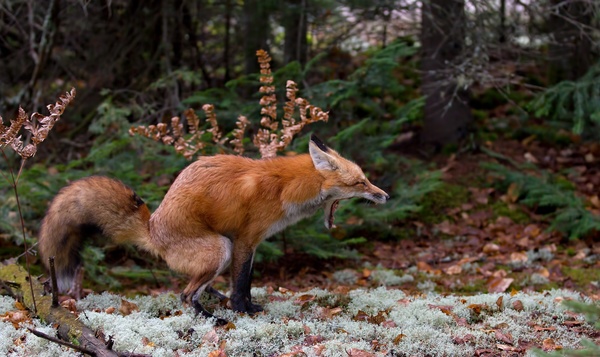 Le quiz des toilettes de Notre Nature