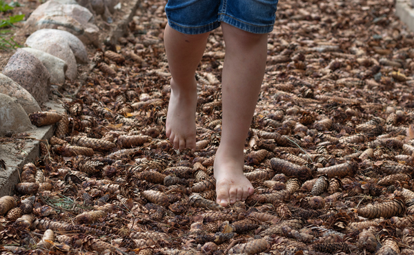 7. Créez un sentier pieds nus dans votre jardin