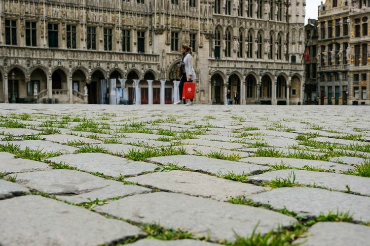 mark-baert-gras-op-grote-markt.jpeg
