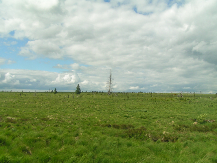 pict1259.JPG