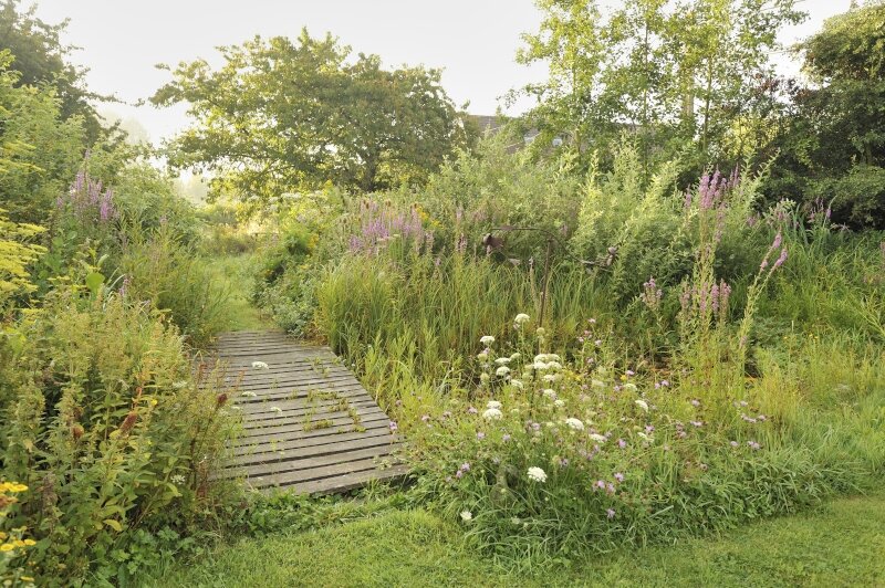Een wilde tuin met bloemenborders, hoge grassen en een natuurlijke vijver