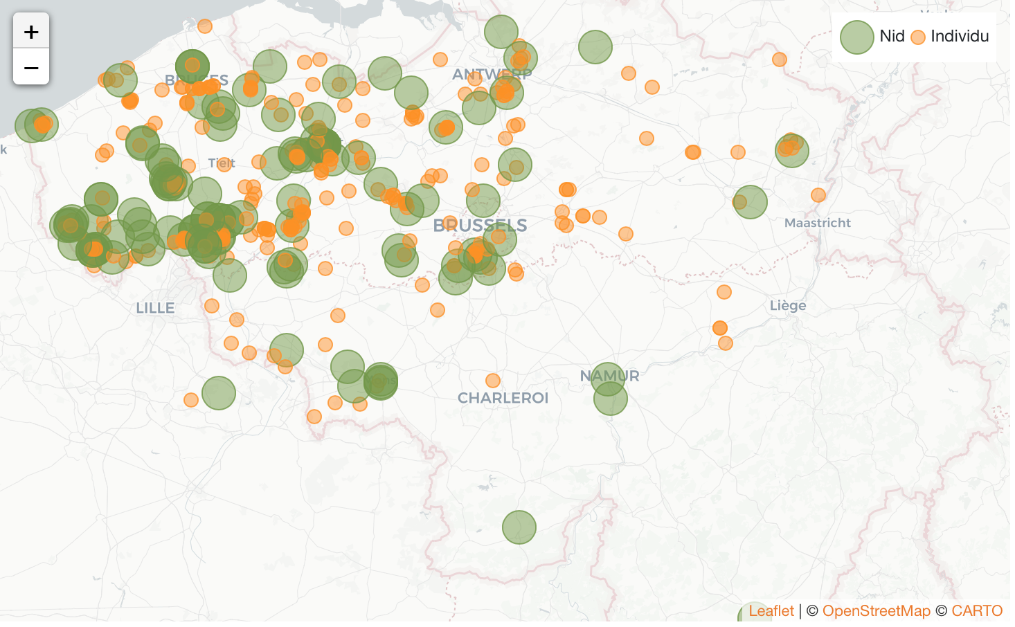Nids du frelon asiatique et individus signalés en Belgique en mai 2020 (source: vespawatch.be)