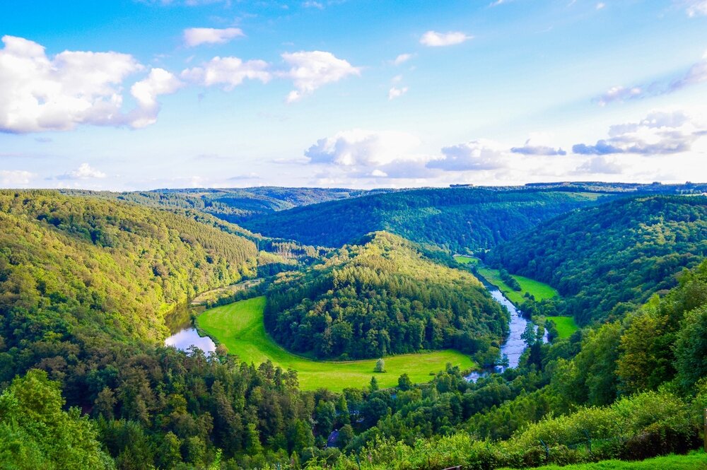 shutterstock-464954615.jpg