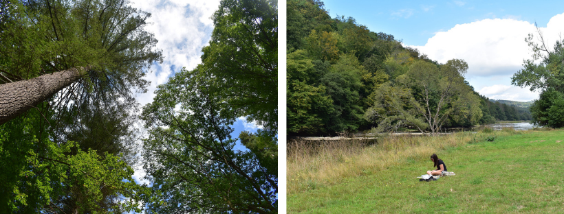 Links: zicht op boomkruinen; Rechts: kaartlezen aan de oever van de Semois
