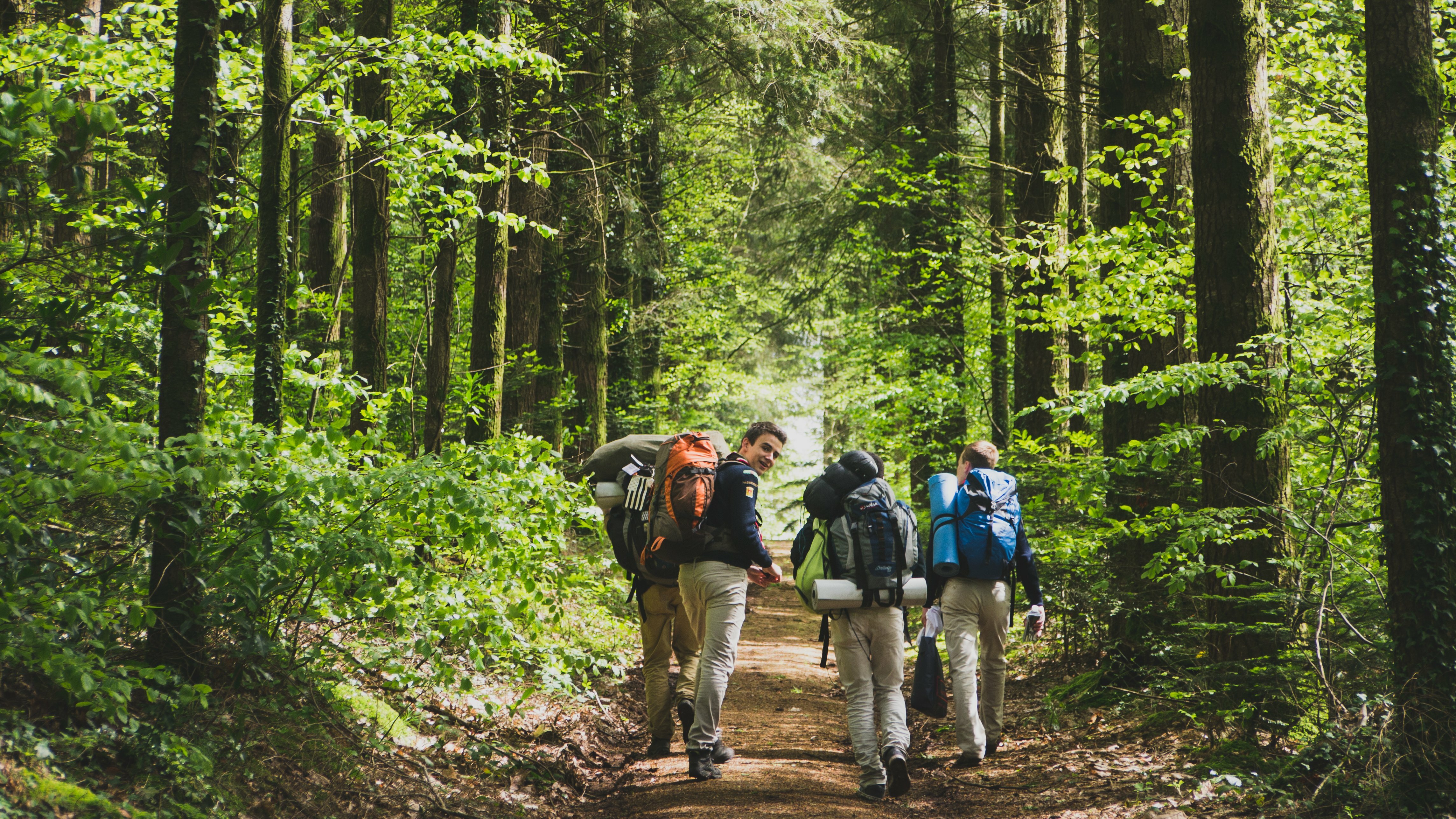 Scouts en forêt